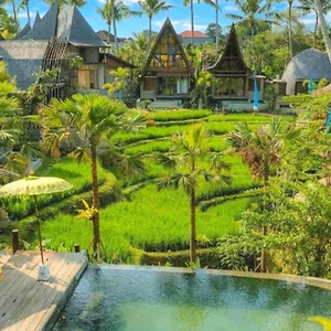 Ośrodek wypoczynkowy Menzel, Ubud